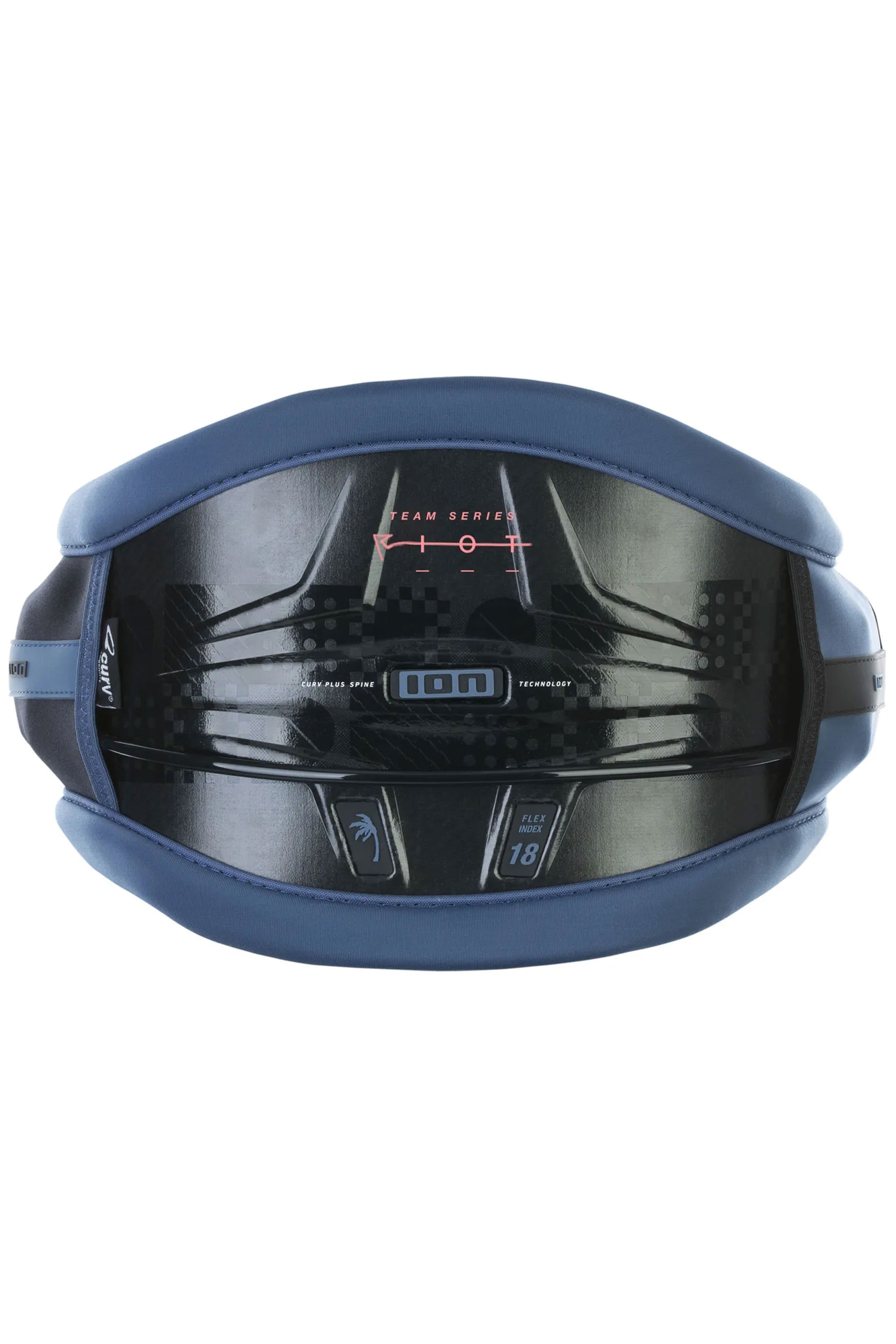 ION-Team Series 2024 Harness (DEMO)