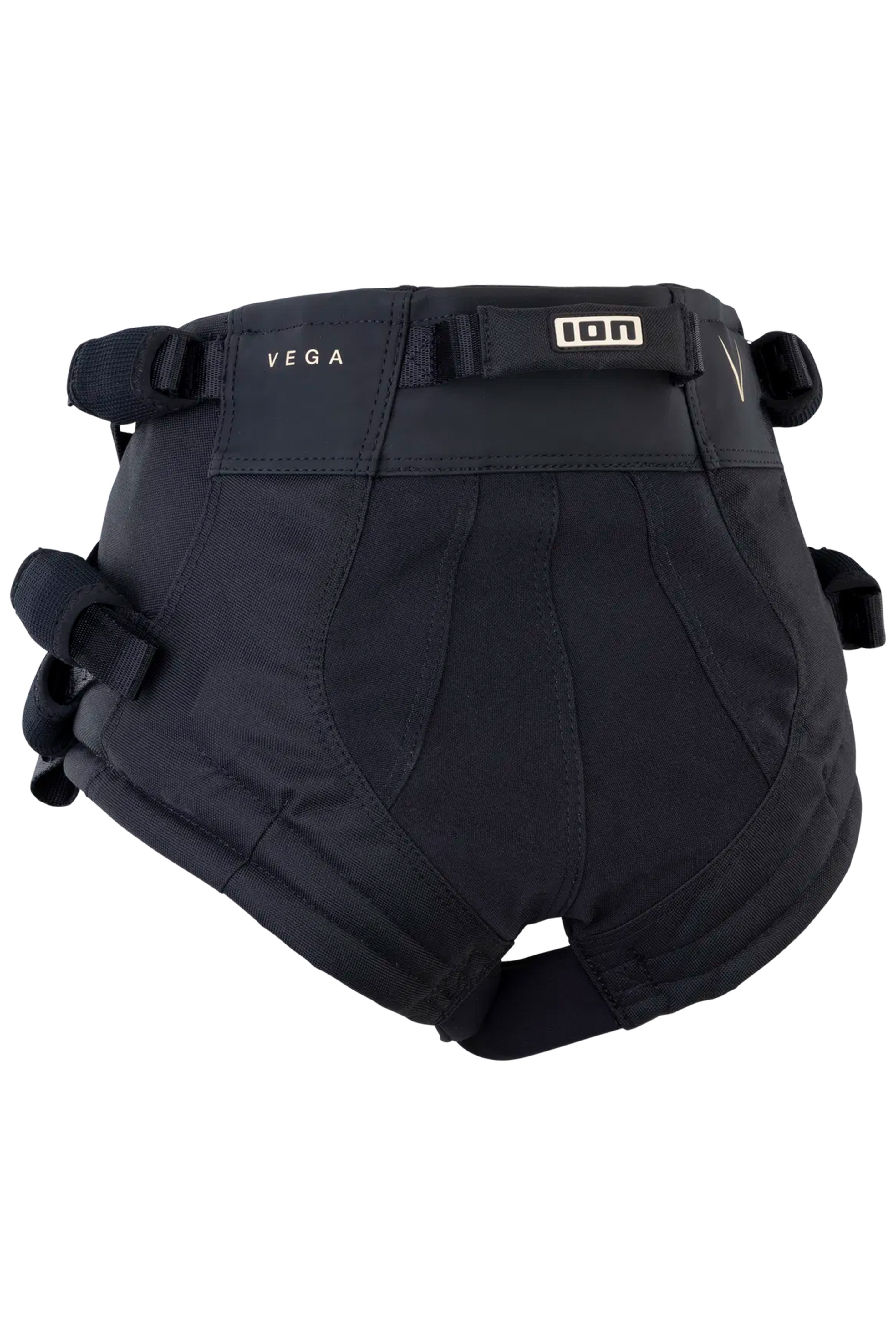 ION-Vega 2025 Harness